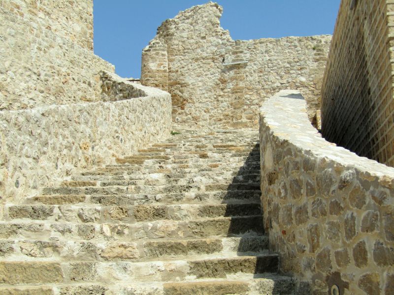 Stone Steps Repair